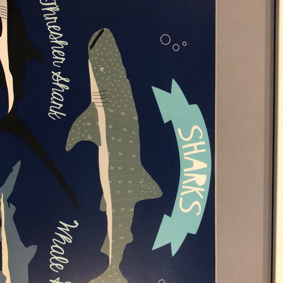 Framed art work of sharks - Picture 8 of 10